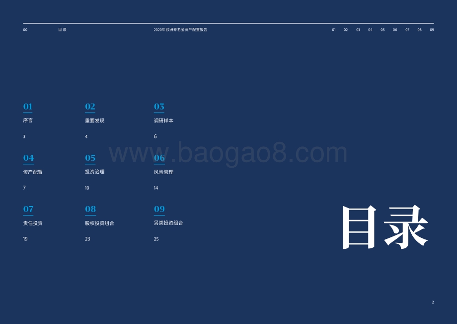 2020年欧洲养老金资产配置报告.pdf_第2页