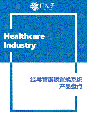 经导管瓣膜置换系统产品盘点.pdf