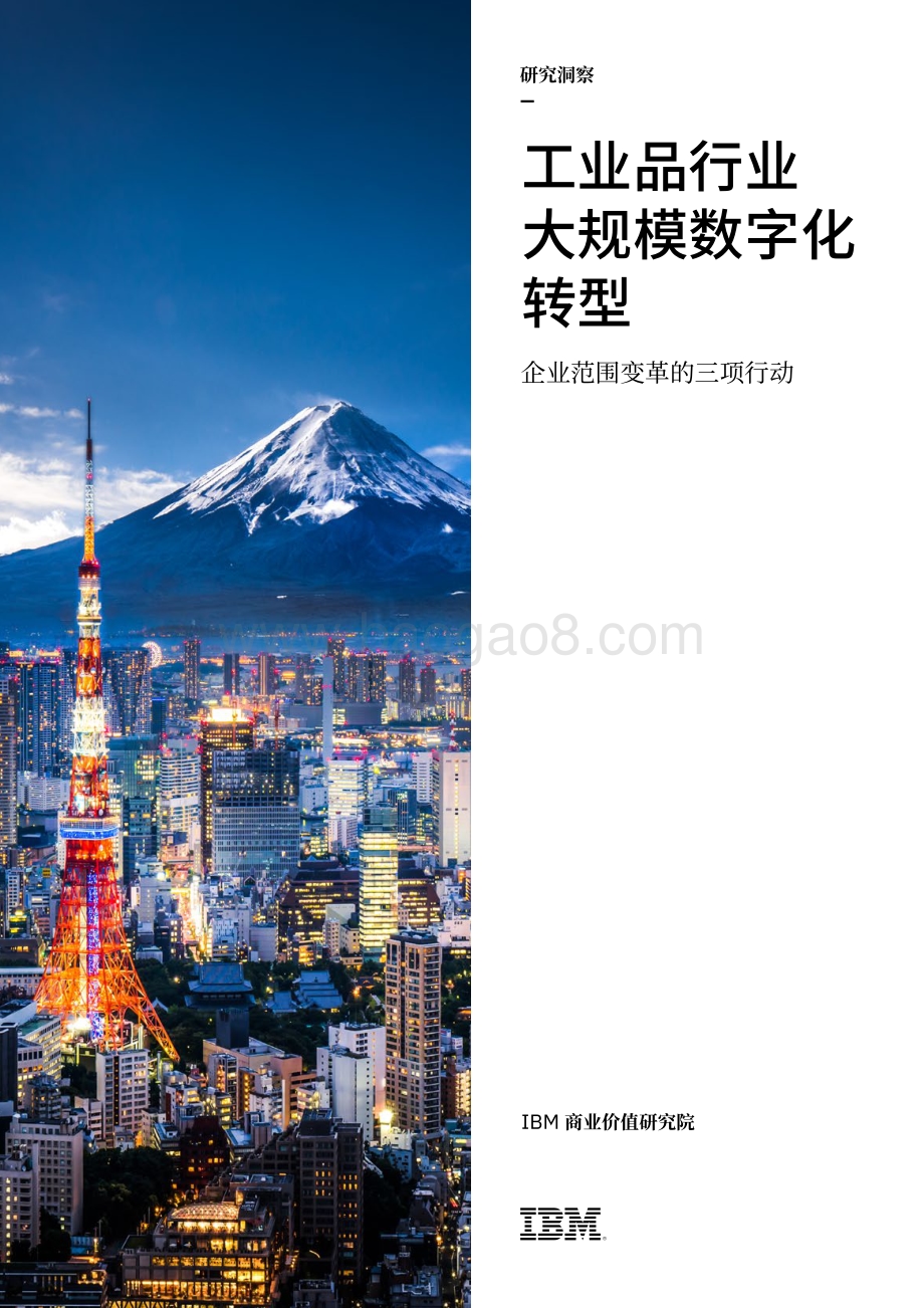 工业品行业大规模数字化转型：企业范围变革的三项行动.pdf_第1页