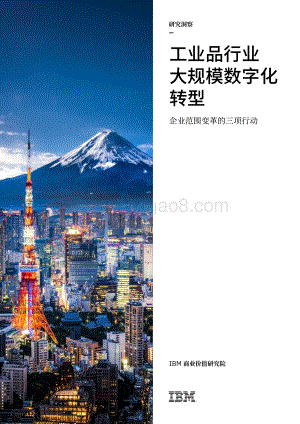工业品行业大规模数字化转型：企业范围变革的三项行动.pdf