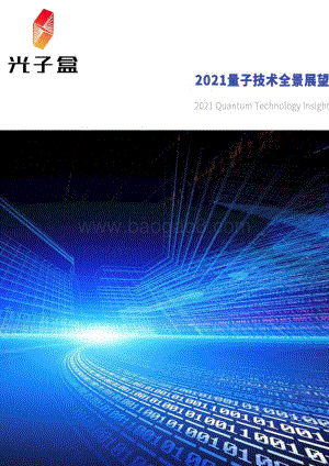 2021量子技术全景展望.pdf
