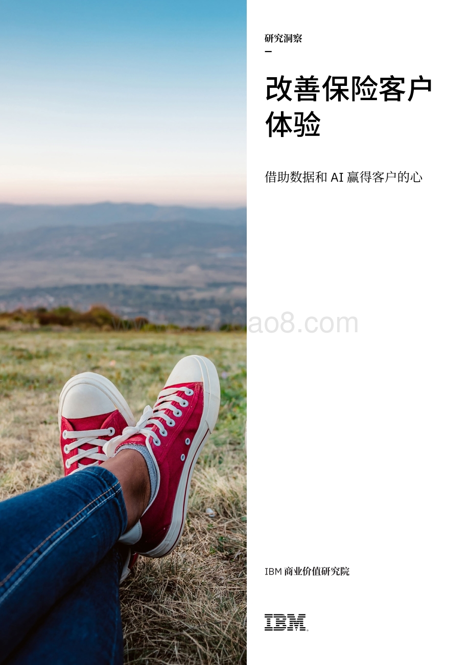 改善保险客户体验：借助数据和AI赢得客户的心.pdf_第1页