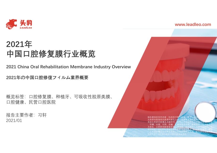 2021年中国口腔修复膜行业概览.pdf_第1页