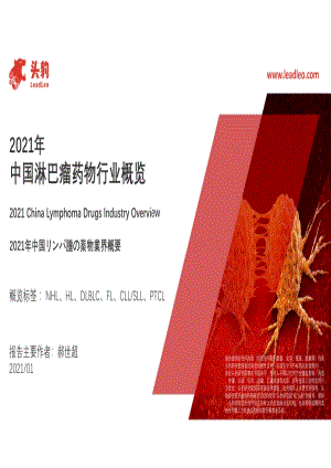 2021年中国淋巴瘤药物行业概览.pdf
