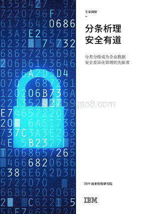 分条析理安全有道：分类分级成为企业数据安全差异化管理的先驱者.pdf