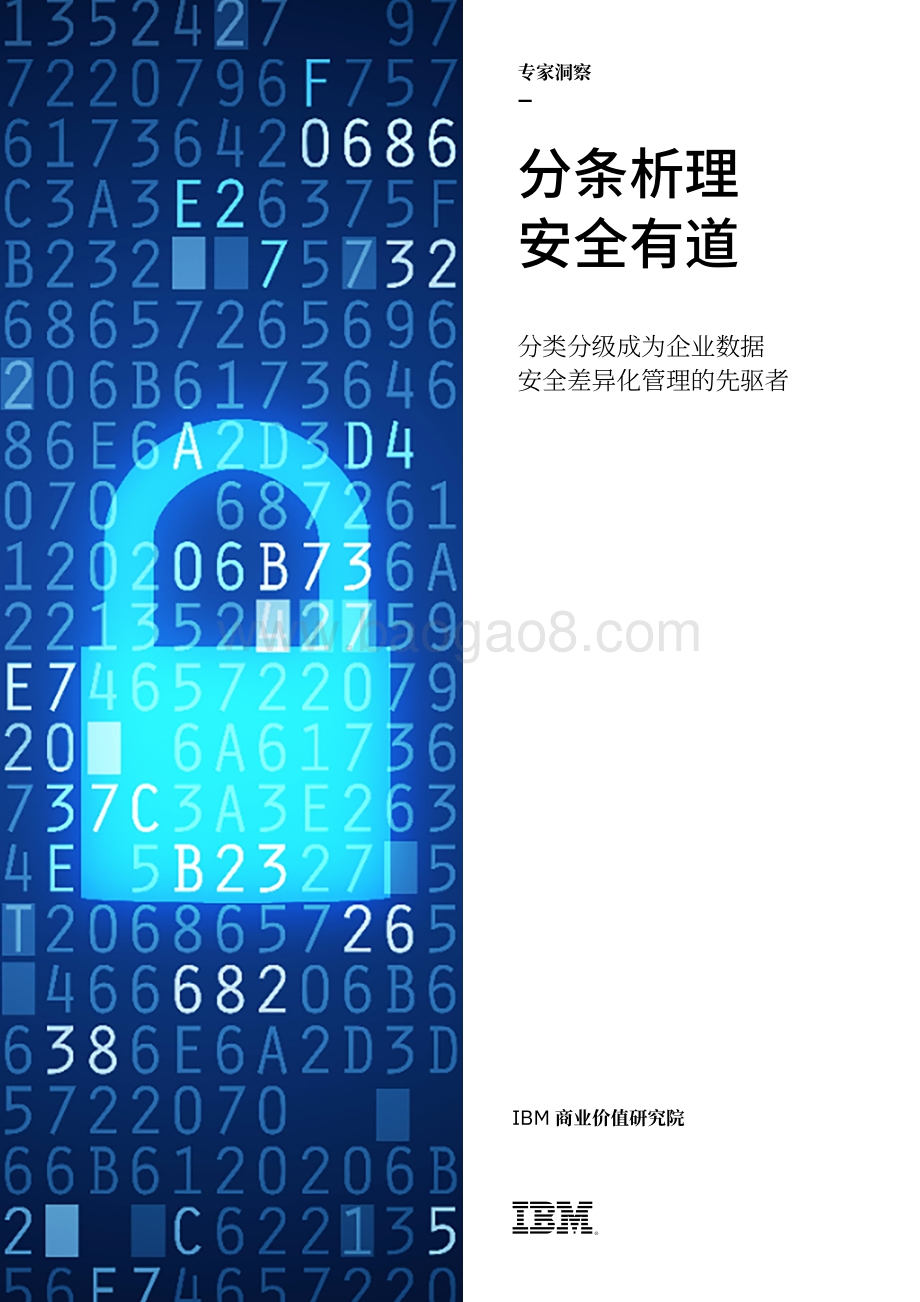 分条析理安全有道：分类分级成为企业数据安全差异化管理的先驱者.pdf_第1页