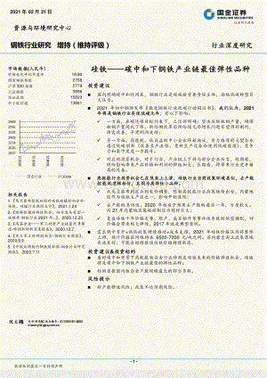 硅铁：碳中和下钢铁产业链最佳弹性品种.pdf