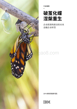 破茧化蝶涅槃重生：企业级架构驱动的未来金融企业转型.pdf
