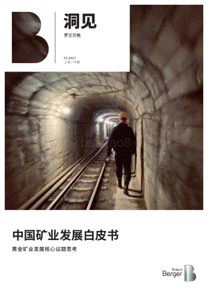 中国矿业发展白皮书：黄金矿业发展核心议题思考.pdf