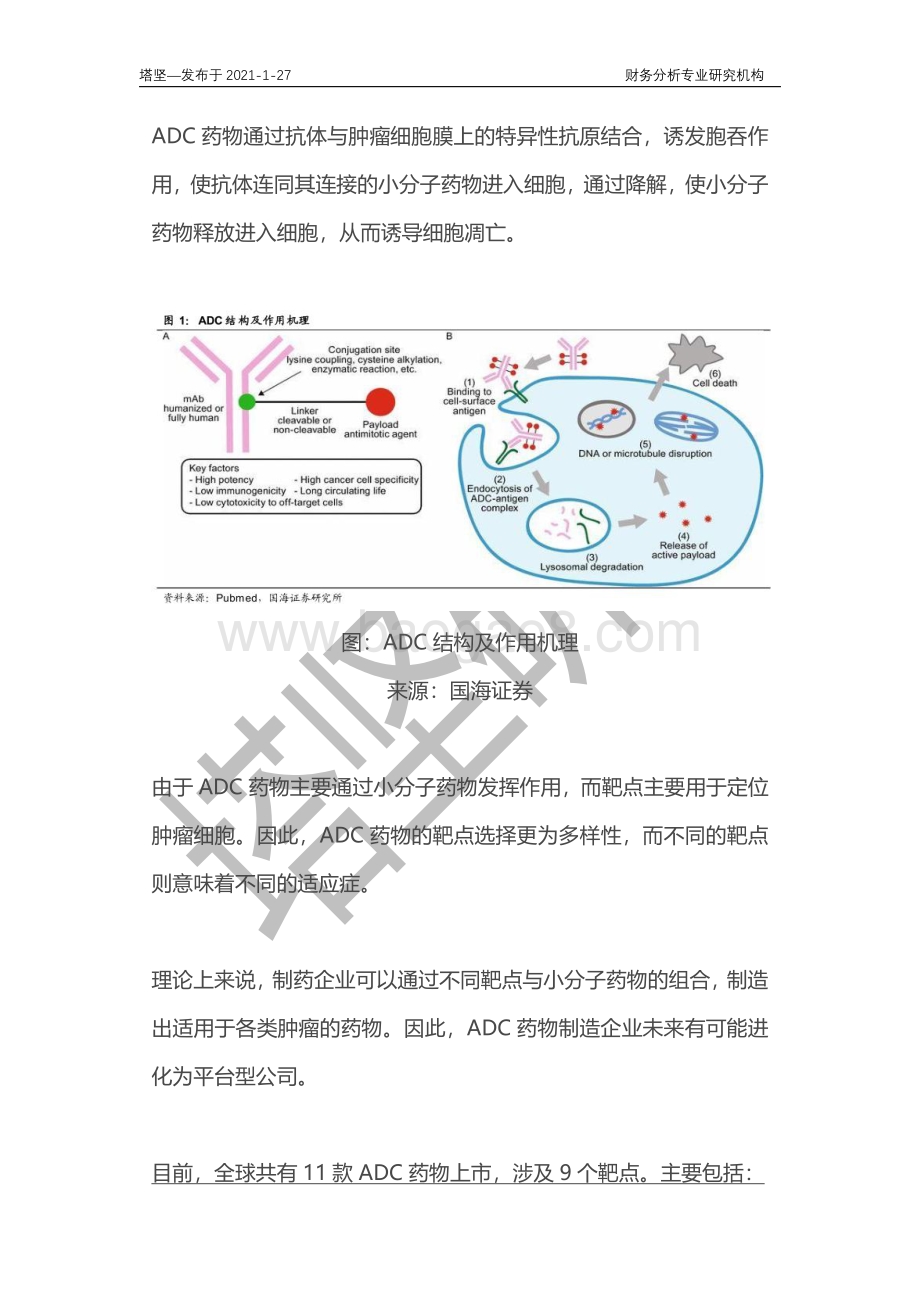 荣昌生物VS百奥泰VS东曜VS云顶新耀：ADC药物产业链深度梳理.pdf_第2页