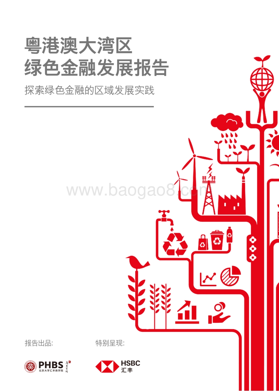 粤港澳大湾区绿色金融发展报告.pdf_第1页