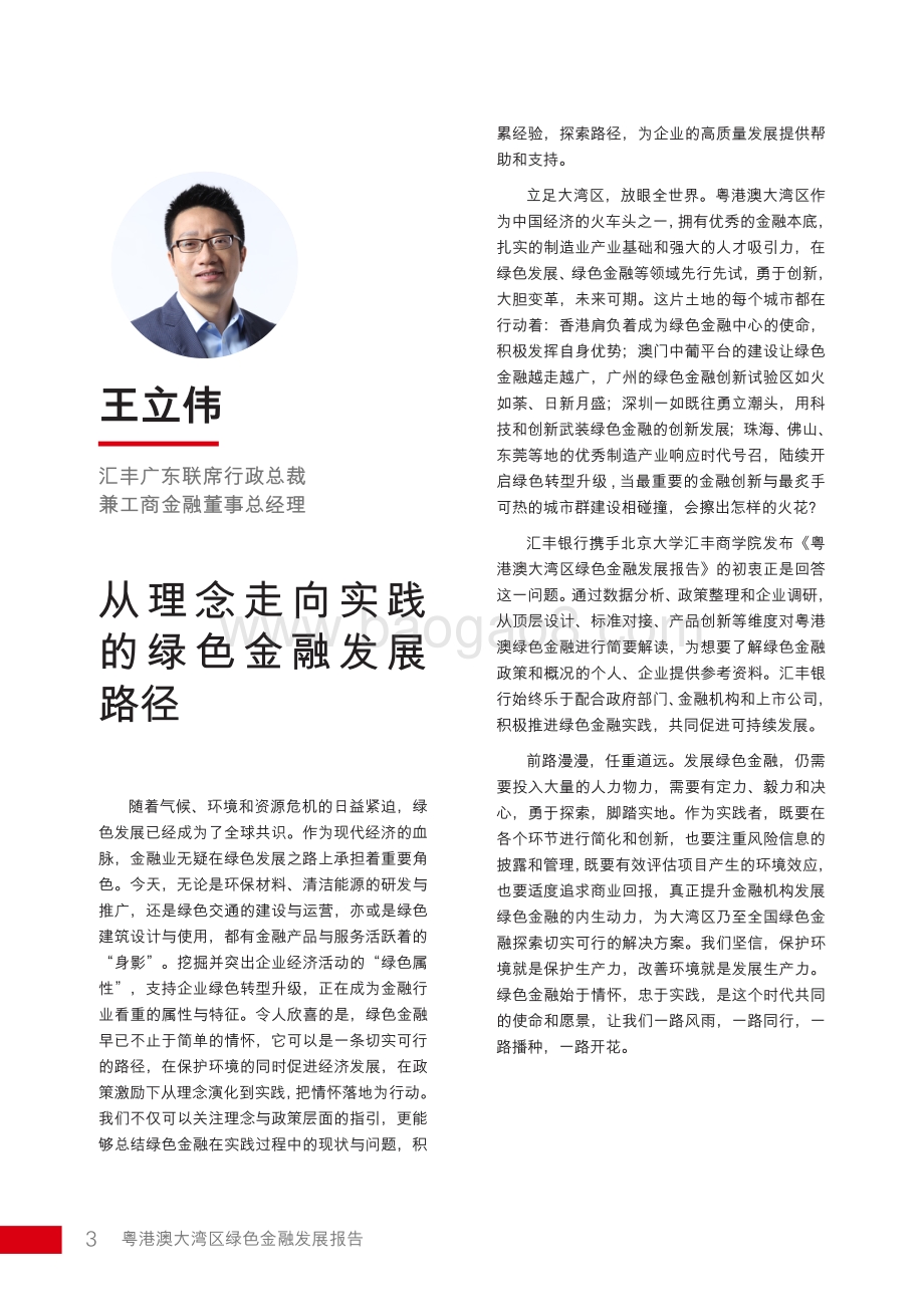 粤港澳大湾区绿色金融发展报告.pdf_第4页