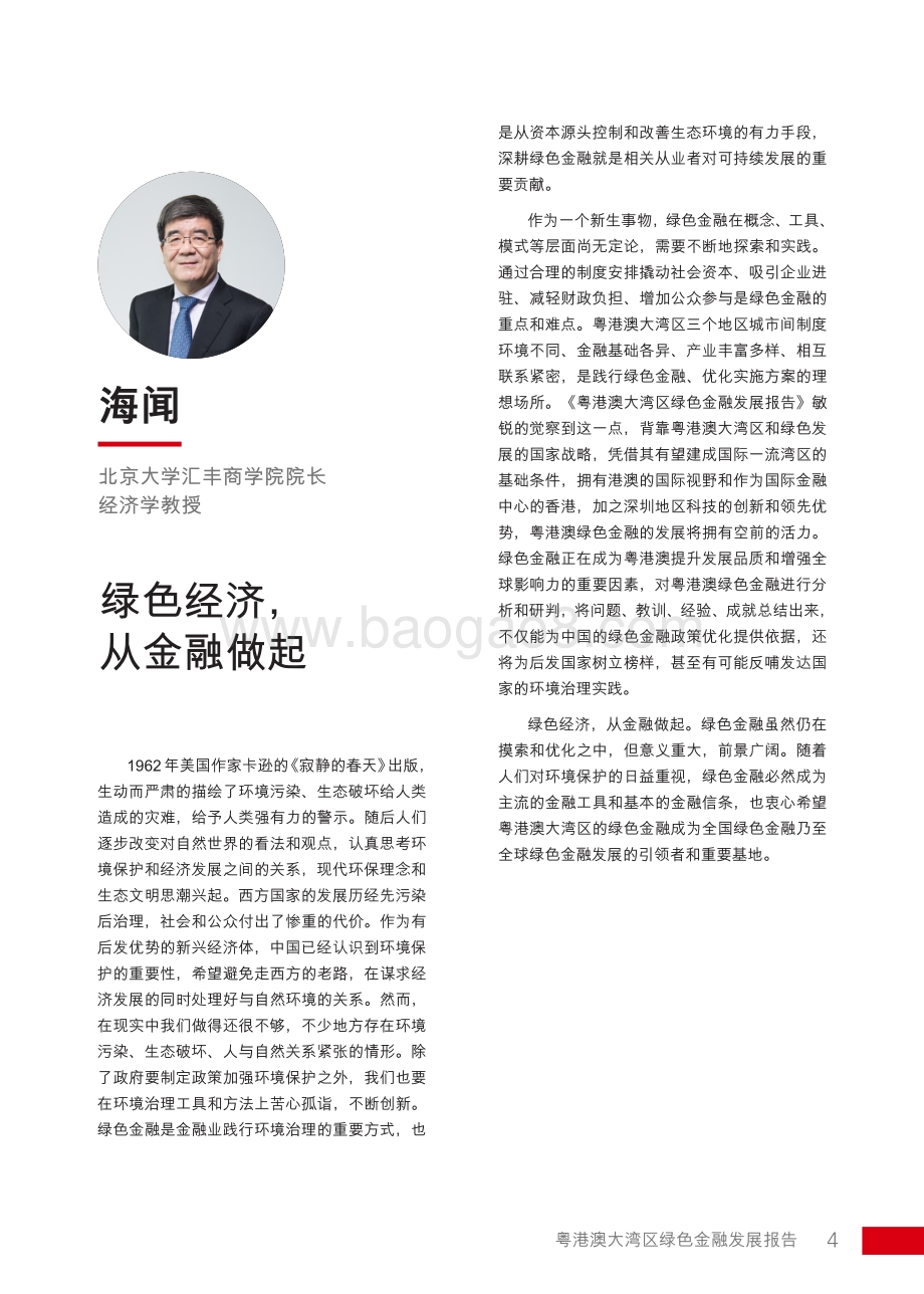 粤港澳大湾区绿色金融发展报告.pdf_第5页