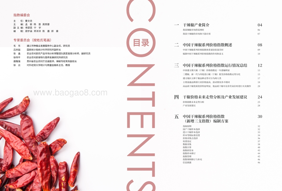 中国干辣椒系列价格指数运行报告.pdf_第2页