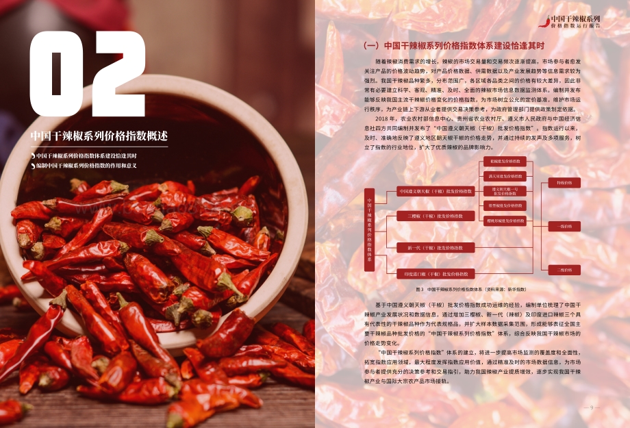 中国干辣椒系列价格指数运行报告.pdf_第5页