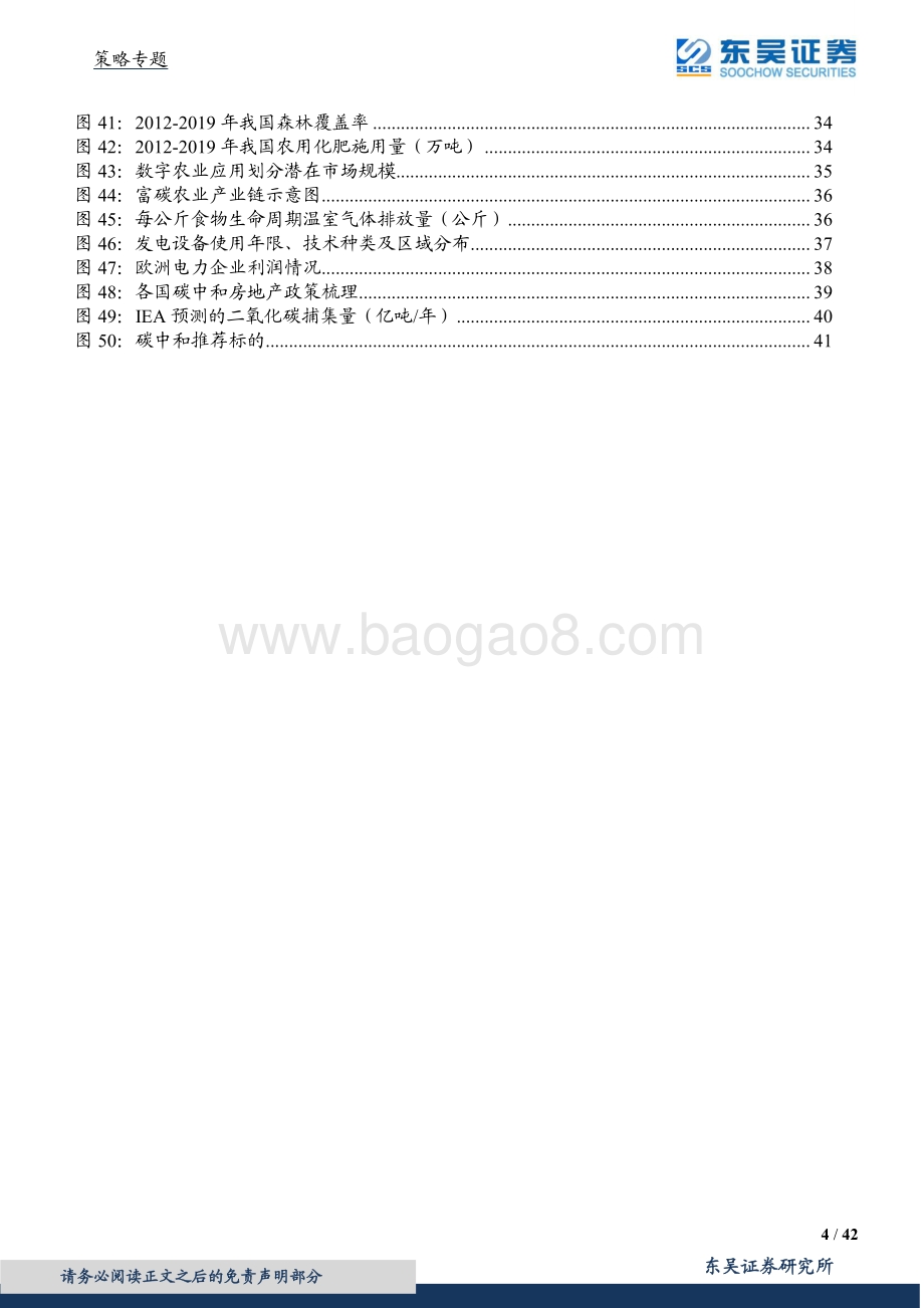 碳中和的机遇与风险.pdf_第4页