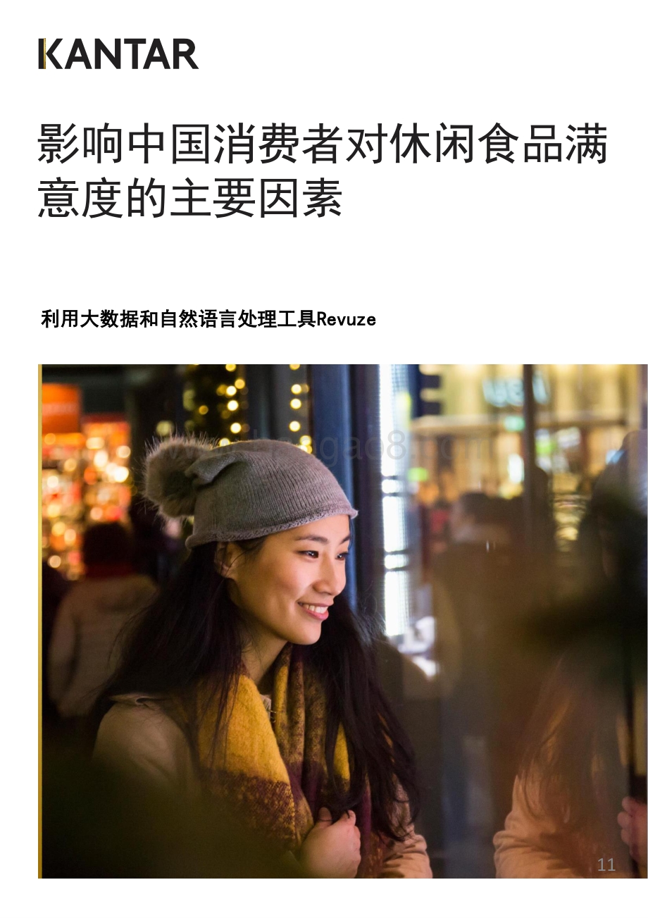 影响中国消费者对休闲食品满意度的主要因素.pdf_第1页