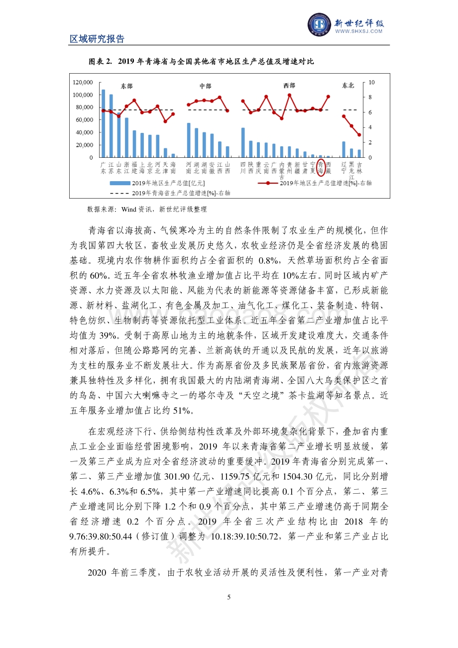 2020青海省及下辖各州市经济财政实力与债务研究.pdf_第5页