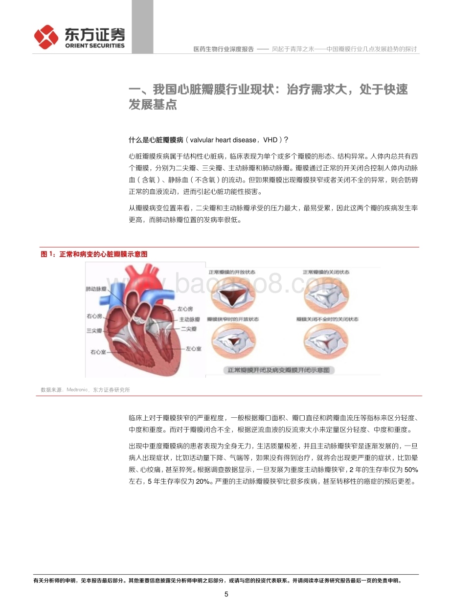 中国瓣膜行业几点发展趋势的探讨：风起于青萍之末.pdf_第5页