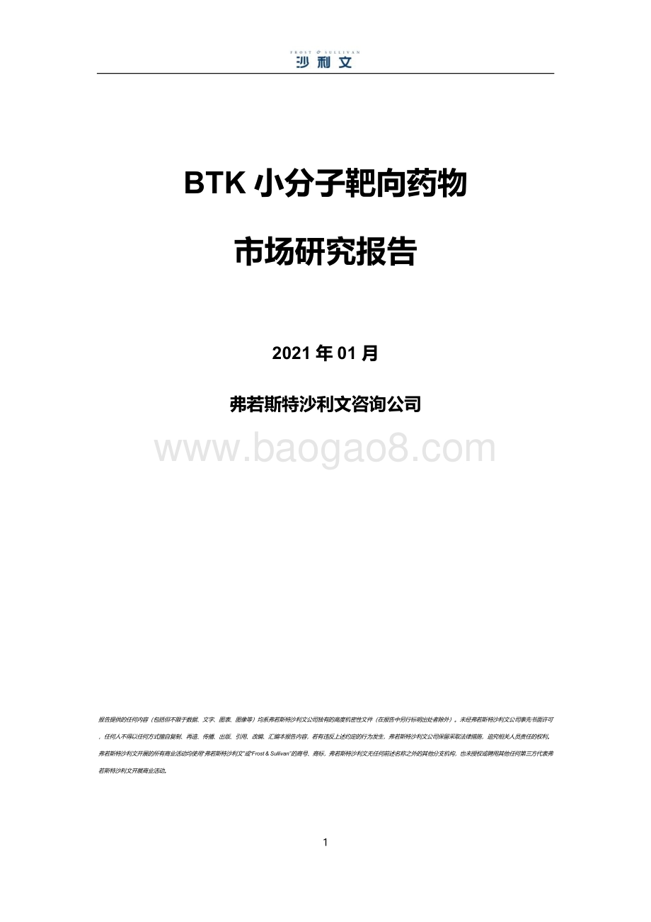 BTK小分子靶向药物市场研究报告.pdf_第1页