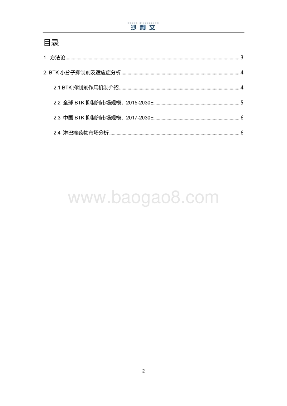 BTK小分子靶向药物市场研究报告.pdf_第2页