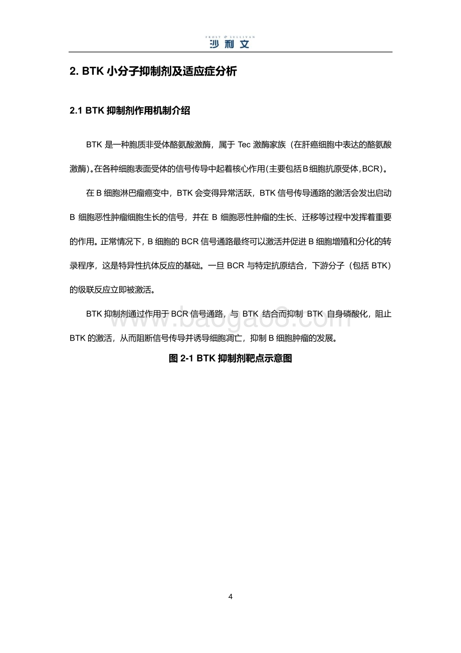 BTK小分子靶向药物市场研究报告.pdf_第4页