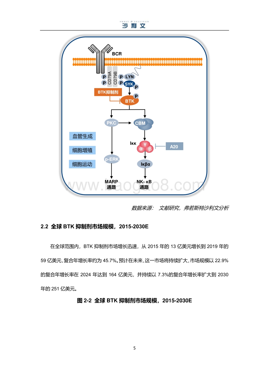 BTK小分子靶向药物市场研究报告.pdf_第5页