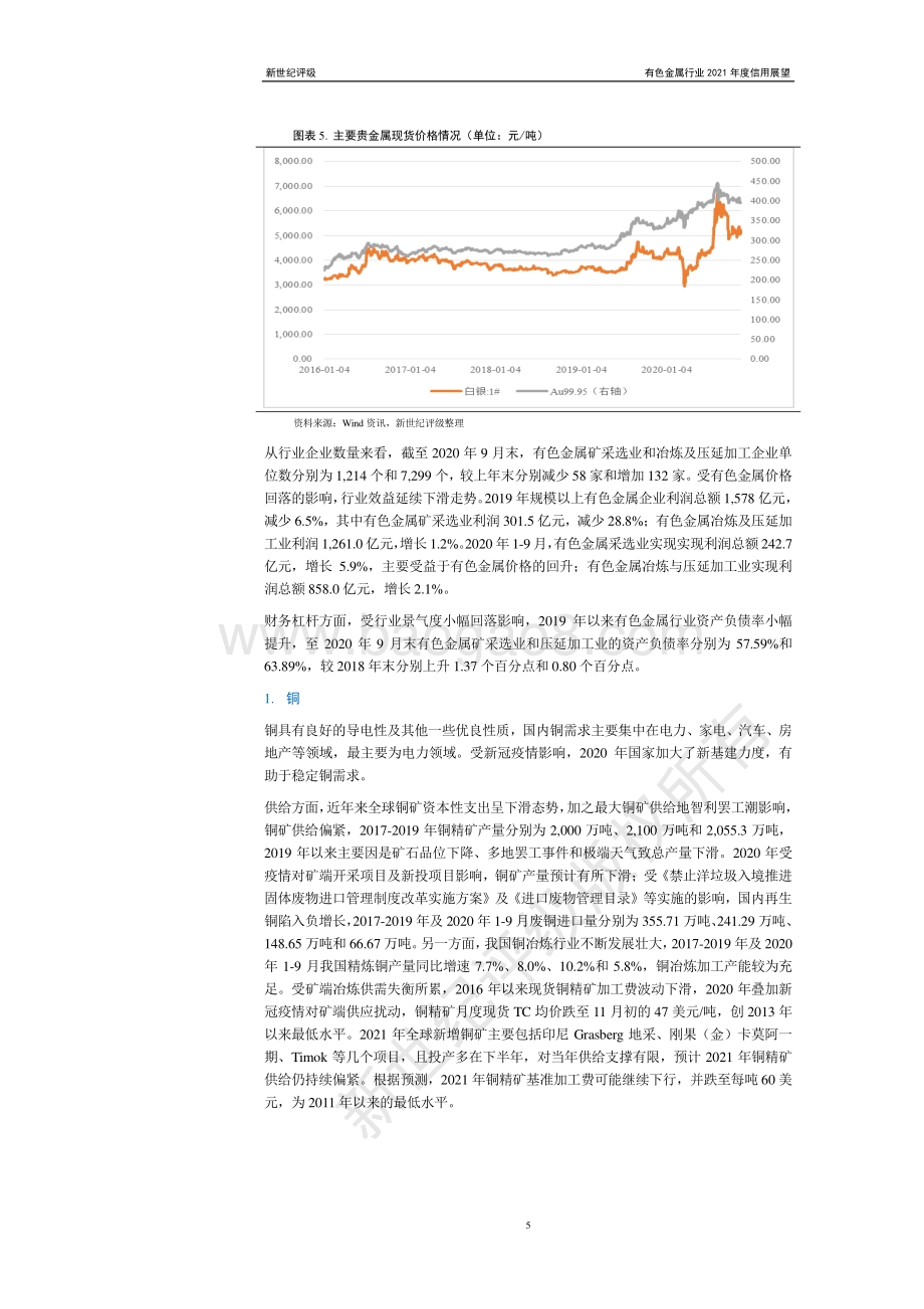 有色金属行业2021年度信用展望.pdf_第5页