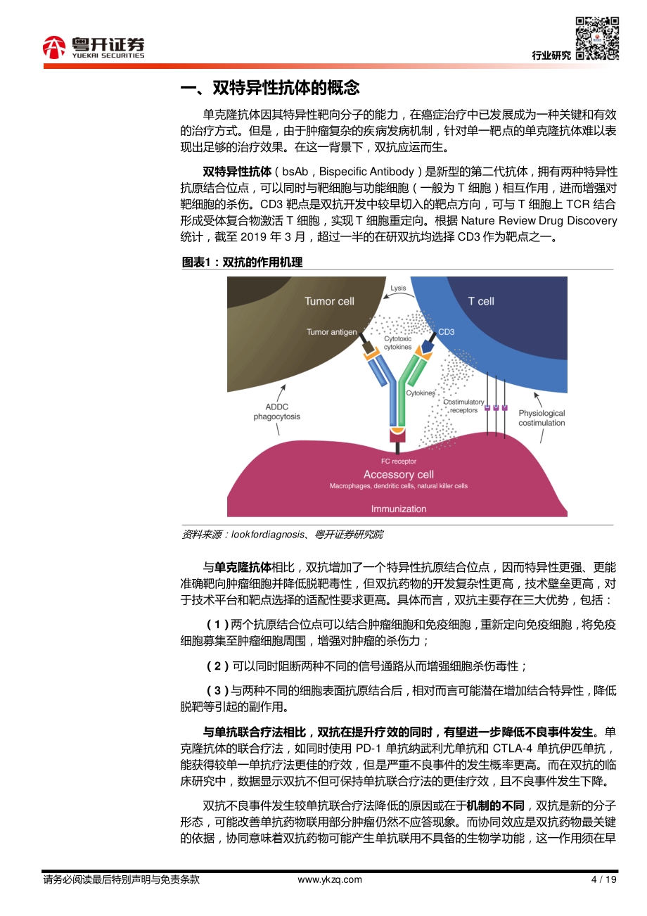 双抗深度报告（一）：双抗概念、分类及技术平台梳理.pdf_第4页