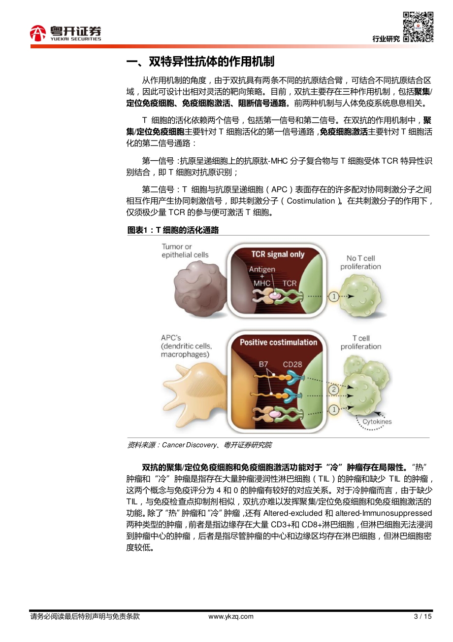 双抗深度报告（二）：双抗作用机制梳理.pdf_第3页