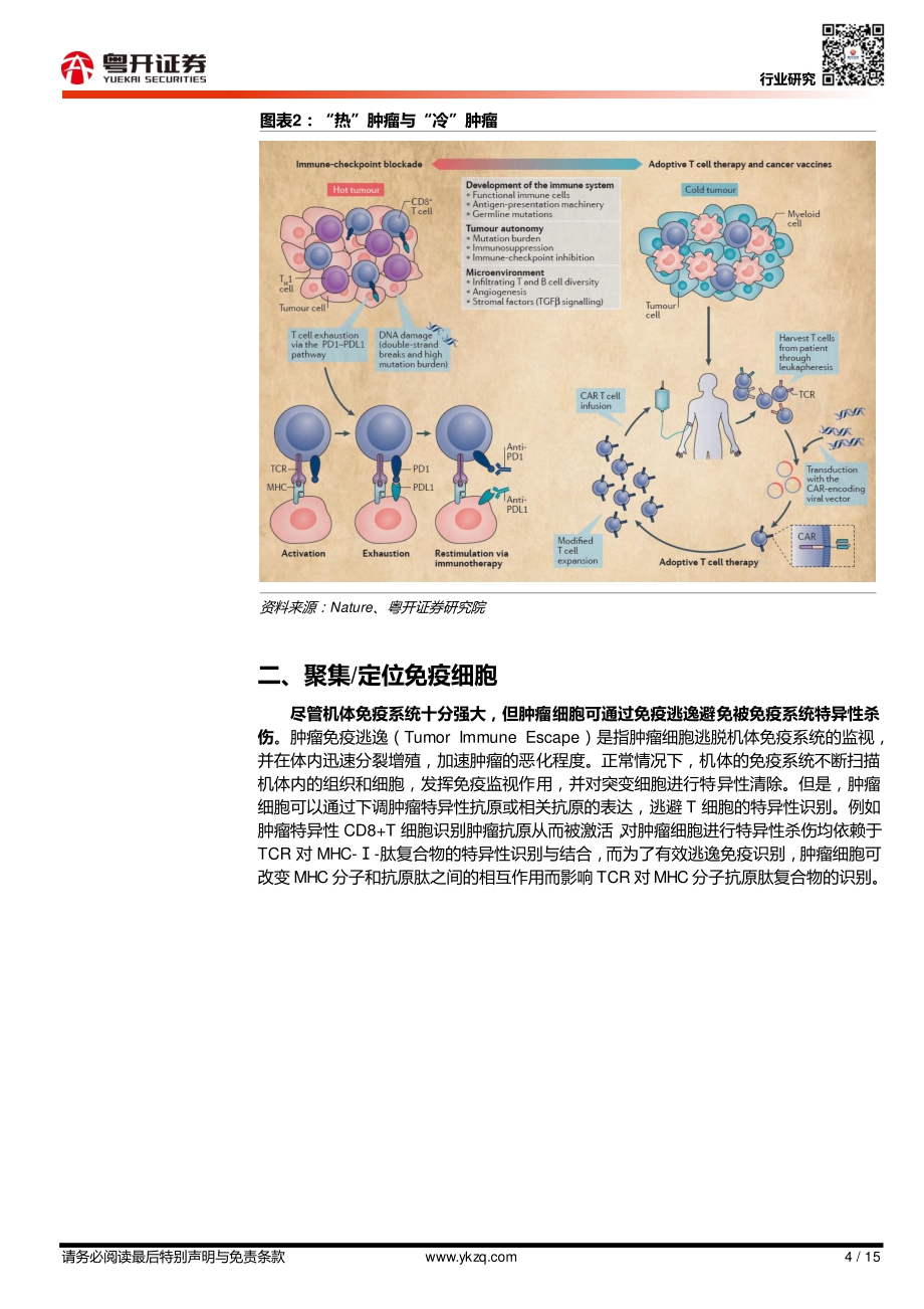 双抗深度报告（二）：双抗作用机制梳理.pdf_第4页