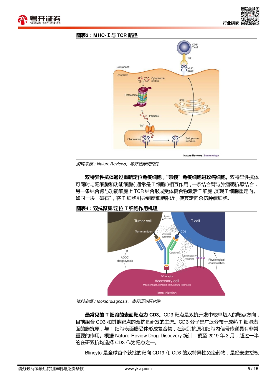 双抗深度报告（二）：双抗作用机制梳理.pdf_第5页