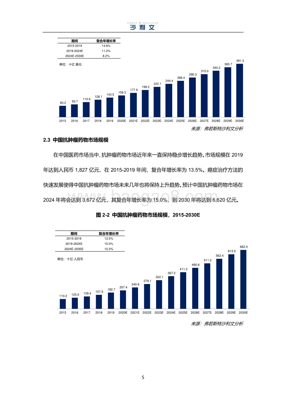 中国紫杉醇药物市场研究报告.pdf_第5页