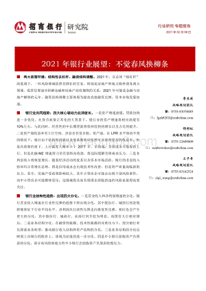 2021年银行业展望：不觉春风换柳条.pdf