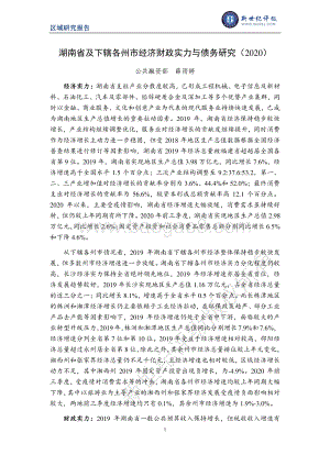 2020湖南省及下辖各州市经济财政实力与债务研究.pdf