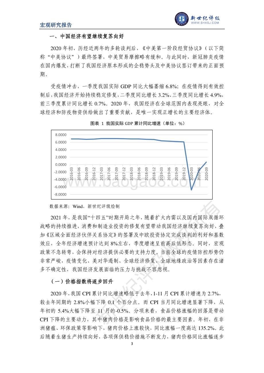 2021年1月中国宏观经济分析与展望：国内篇.pdf_第3页
