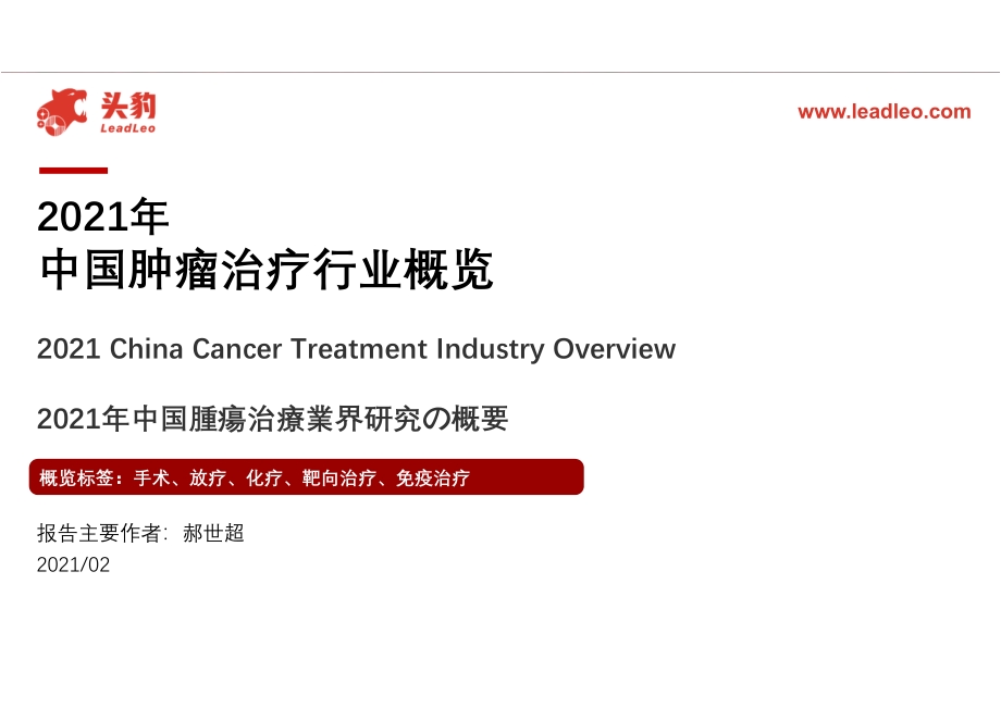 2021年中国肿瘤治疗行业概览.pdf_第1页