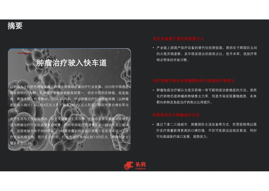 2021年中国肿瘤治疗行业概览.pdf_第4页