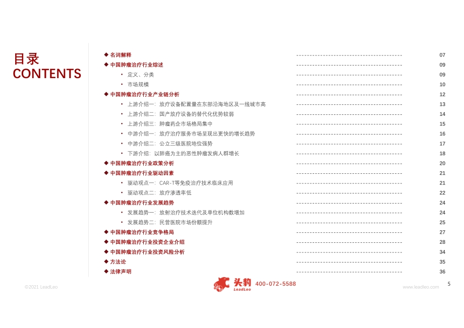 2021年中国肿瘤治疗行业概览.pdf_第5页