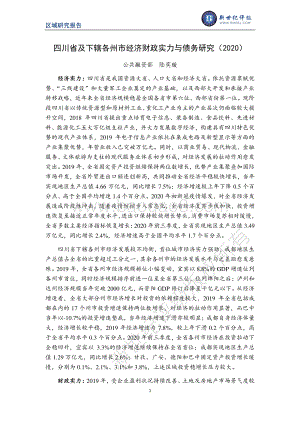 2020四川省及下辖各州市经济财政实力与债务研究.pdf