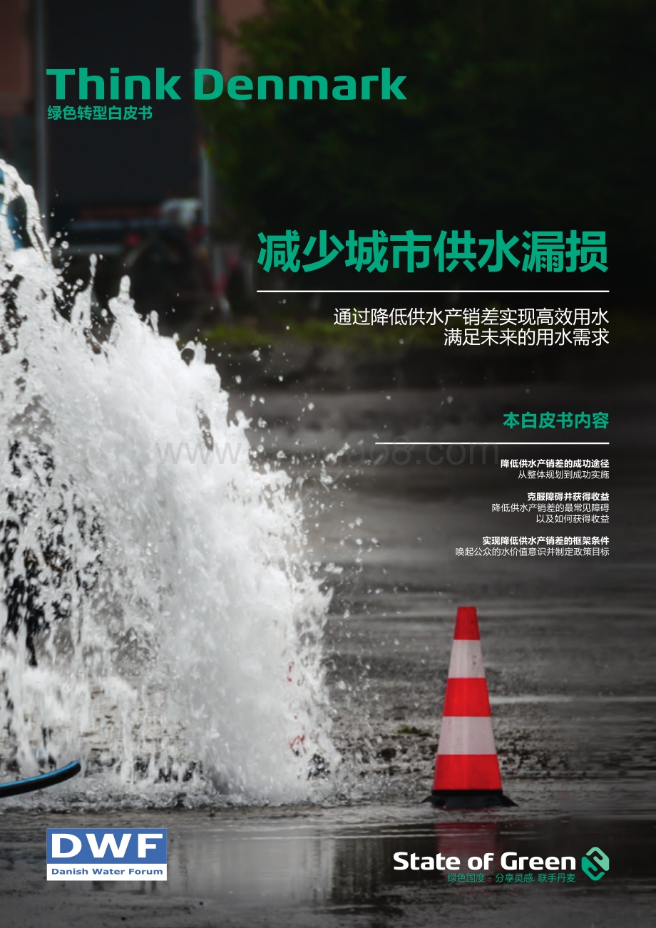减少城市供水漏损：通过降低供水产销差实现高效用水满足未来的用水需求.pdf_第1页