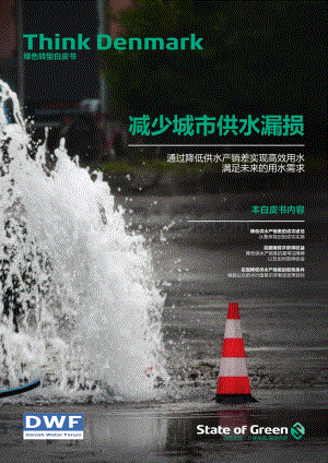 减少城市供水漏损：通过降低供水产销差实现高效用水满足未来的用水需求.pdf