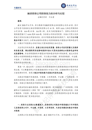 融资担保公司担保效力的分析与比较.pdf