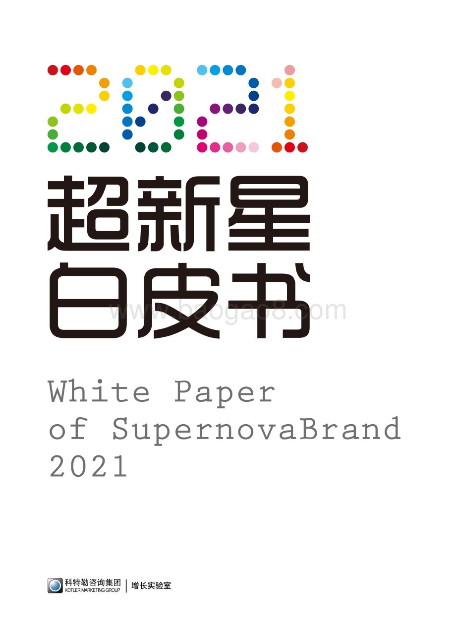 2021超新星白皮书.pdf_第1页