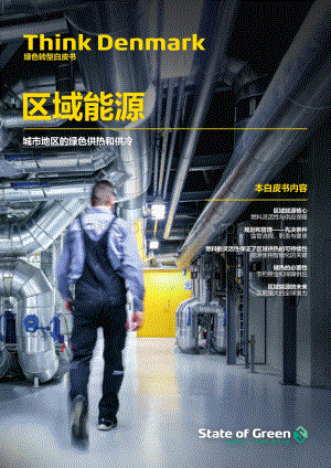 区域能源：城市地区的绿色供热和供冷.pdf
