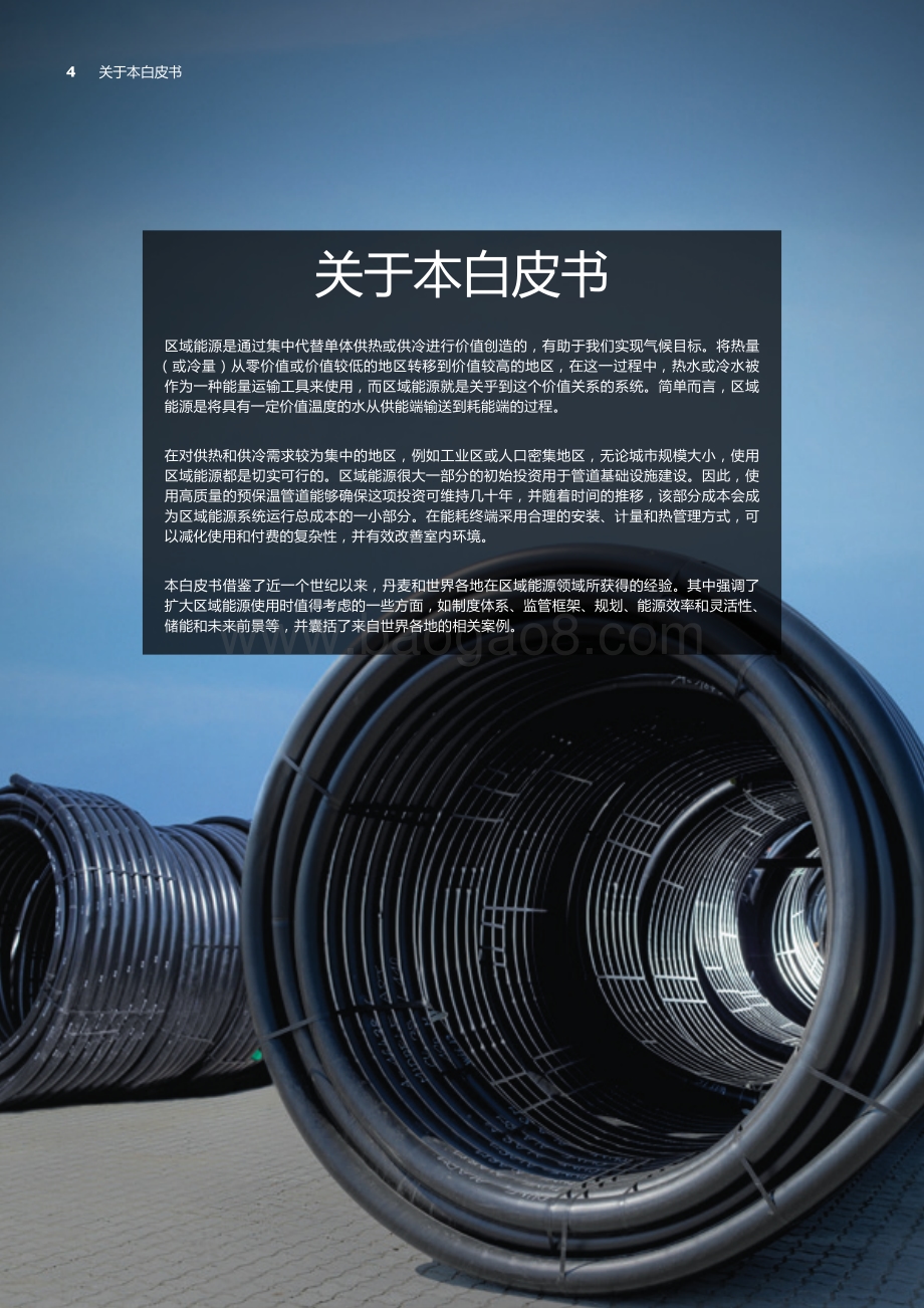 区域能源：城市地区的绿色供热和供冷.pdf_第4页