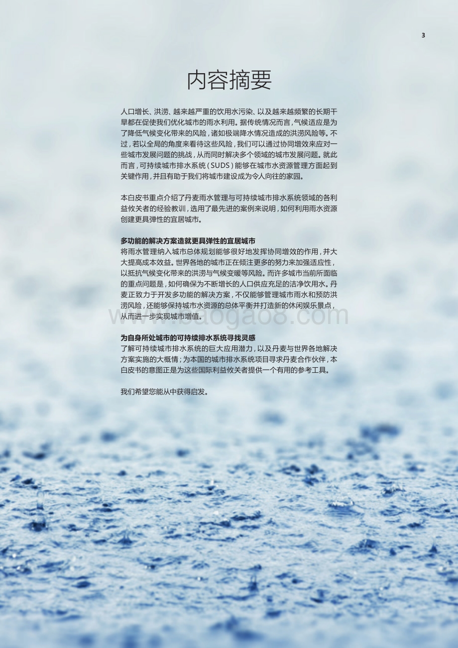 海绵城市引领可持续发展：利用雨水资源打造滨水生态城.pdf_第3页