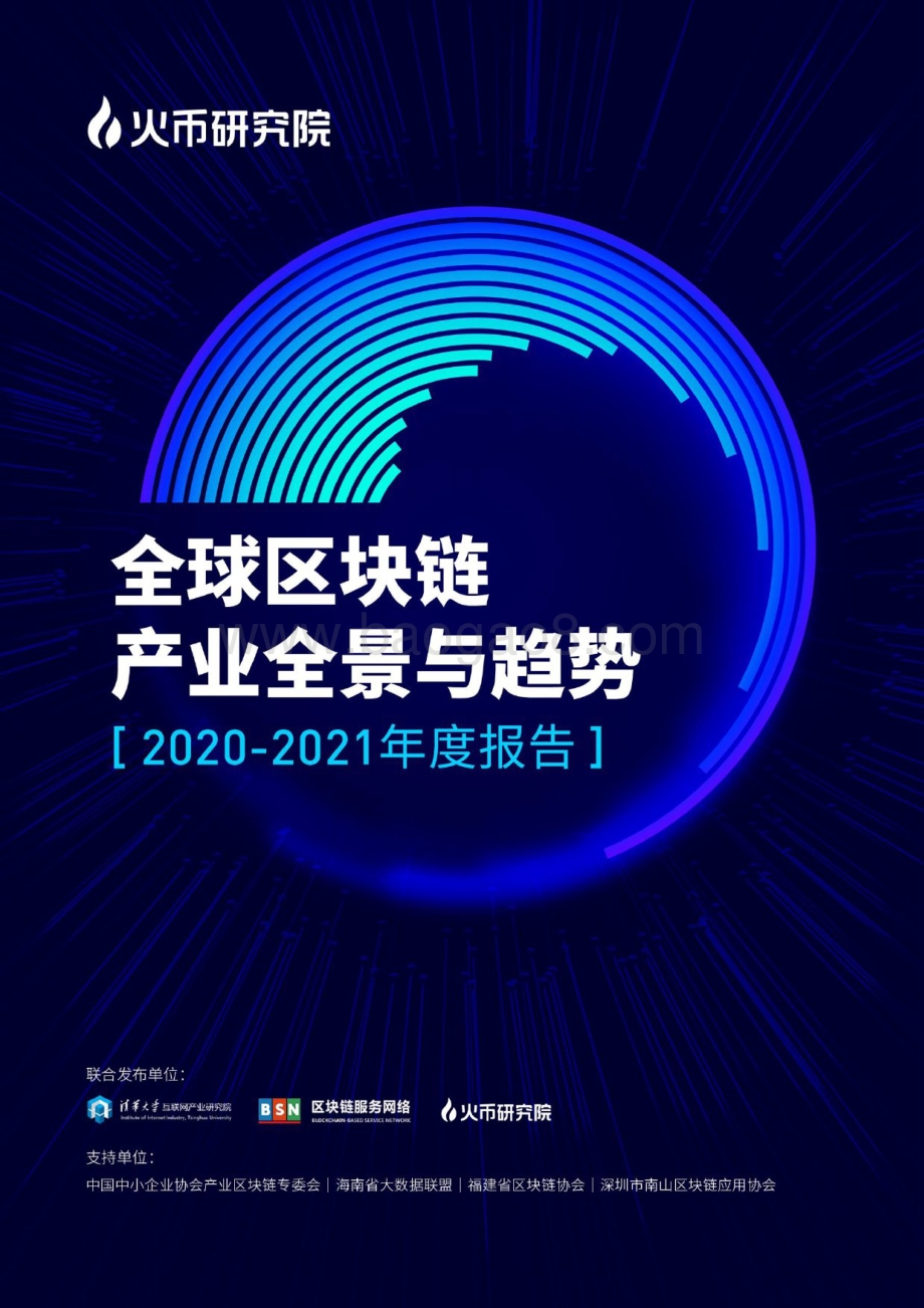 2020-2021年度全球区块链产业全景与趋势报告.pdf_第1页