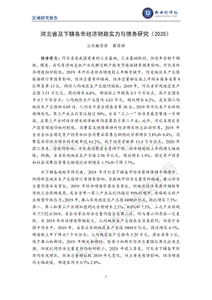 2020河北省及下辖各市经济财政实力与债务研究.pdf