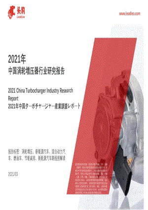 2021年中国涡轮增压器行业研究报告.pdf